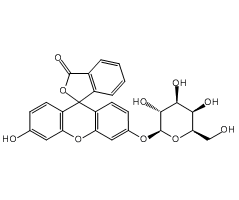 Fluorescein mono-D-Galactoside (FMGal)