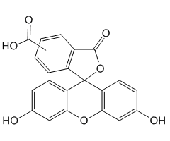 5(6)-Carboxyfluorescein