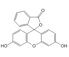 Fluorescein