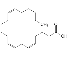 Arachidonic Acid