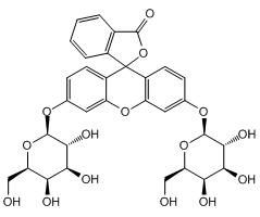 Fluorescein di-D-Galactopyranoside (FDG)