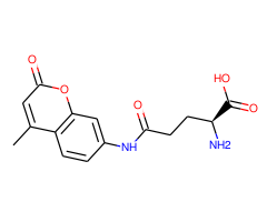 gamma-L-Glutamic acid 7-amido-4-methylcoumarin