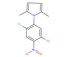 1-(2,5-dichloro-4-nitrophenyl)-2,5-dimethyl-1H-pyrrole