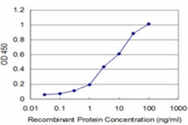 Monoclonal Anti-ROR2 antibody produced in mouse