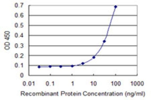 Monoclonal Anti-SCNN1G antibody produced in mouse