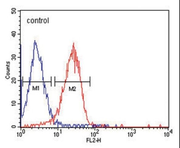 MONOCLONAL ANTI-ITA6 antibody produced in mouse