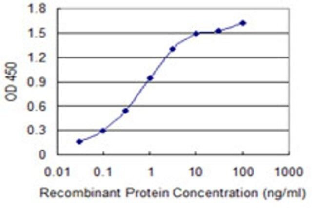 Monoclonal Anti-MRLC2, (C-terminal) antibody produced in mouse