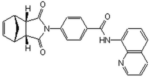 Wnt Antagonist I, IWR-1-<i>endo</i>-Calbiochem