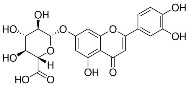 Luteolin-7-<I>O</I>--<SC>D</SC>-glucuronide