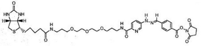 Innolink Biotin 354S