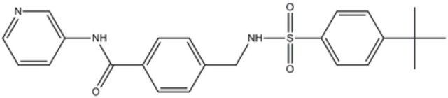 Glucose Transporter Inhibitor III, STF-31-Calbiochem