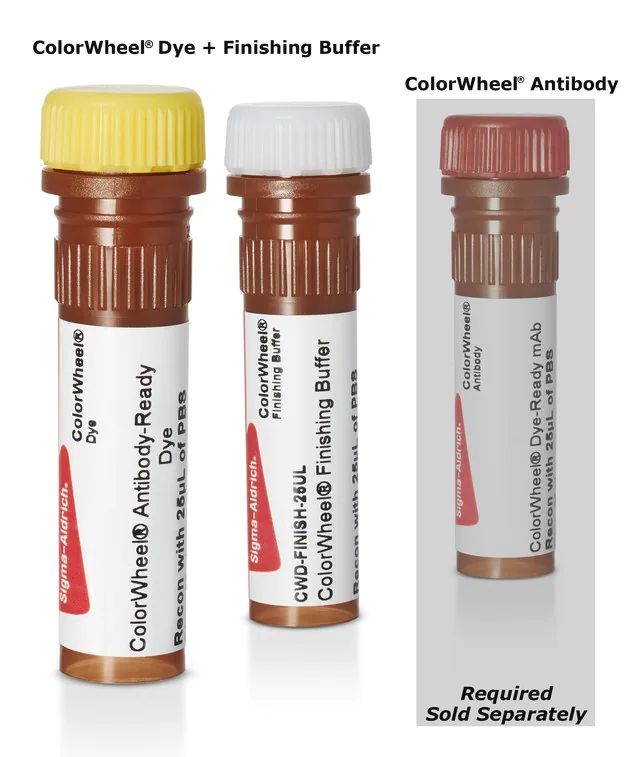 Colorwheel<sup>®</sup> Antibody-Ready FITC Dye