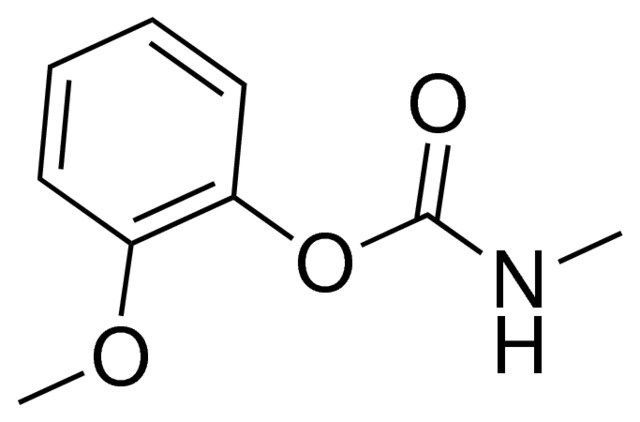 2-methoxyphenyl methylcarbamate