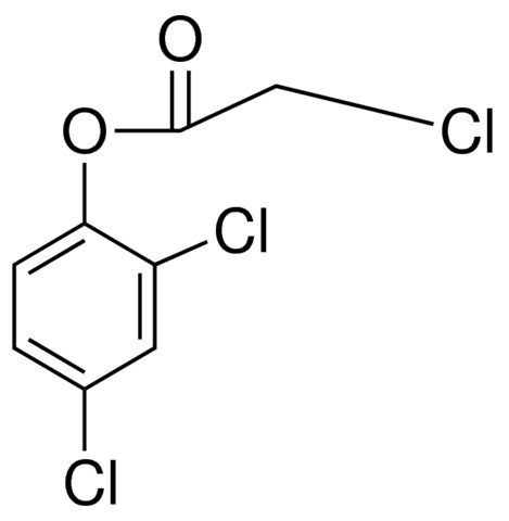 2,4-dichlorophenyl chloroacetate