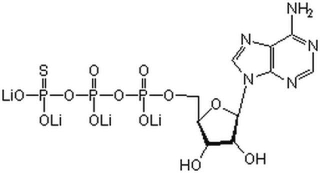 Adenosine 5'-O-(3-Thiotriphosphate), Tetralithium Salt-CAS 93839-89-5-Calbiochem