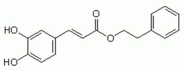 CAPE-CAS 104594-70-9-Calbiochem