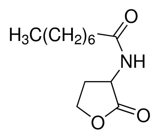 N-Octanoyl-<sc>DL</sc>-homoserine lactone