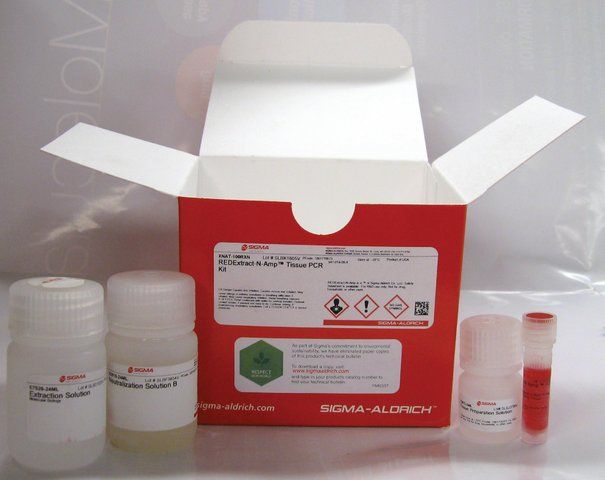 REDExtract-N-Amp<sup>TM</sup> Tissue PCR Kit