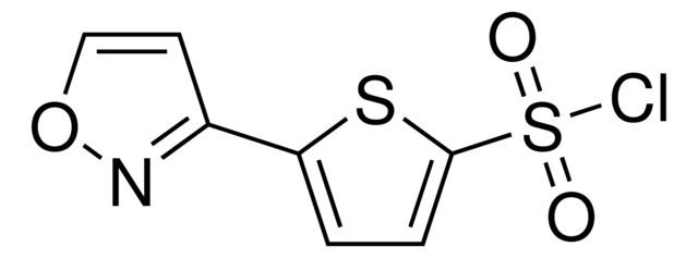 5-(3-Isoxazolyl)-2-thiophenesulfonyl chloride