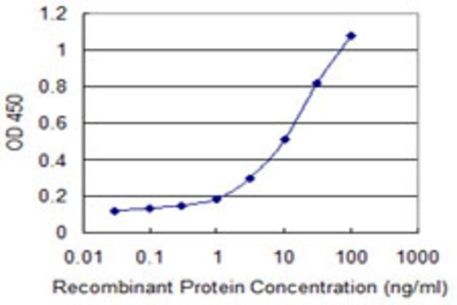 Monoclonal Anti-TSFM antibody produced in mouse