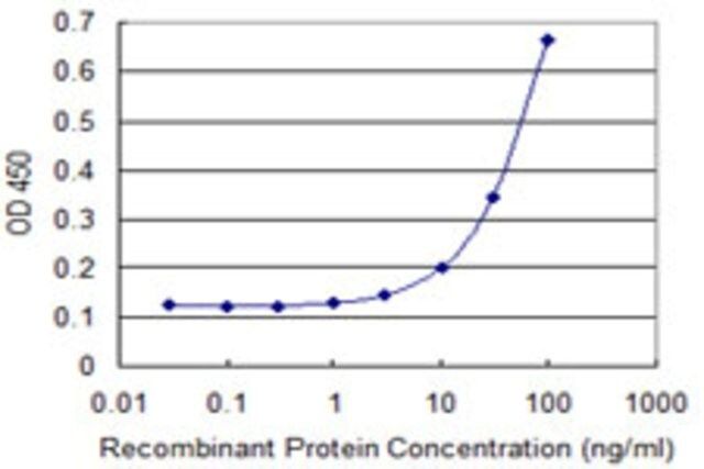 Monoclonal Anti-SNX24 antibody produced in mouse