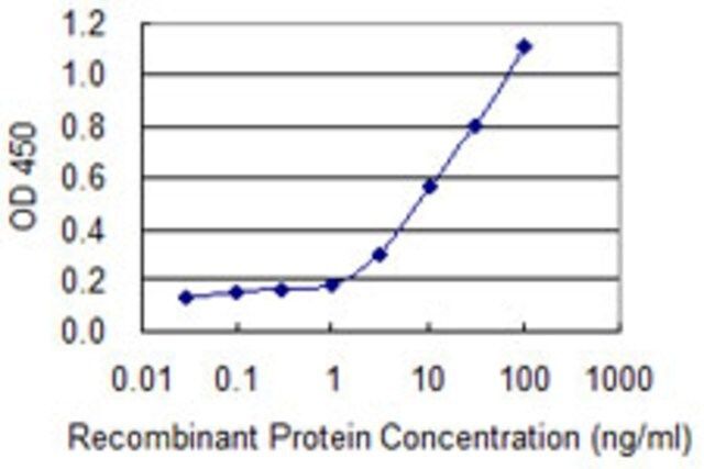 Monoclonal Anti-SNTB2 antibody produced in mouse