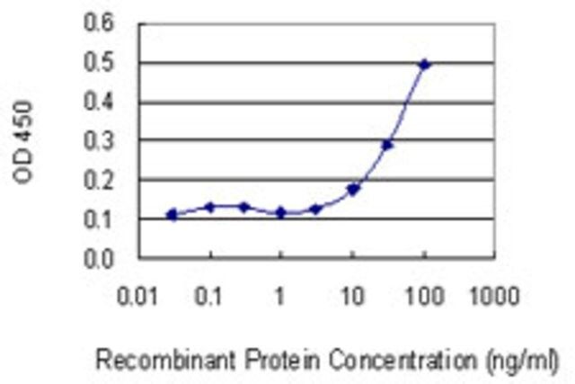 Monoclonal Anti-SNRPB, (N-terminal) antibody produced in mouse