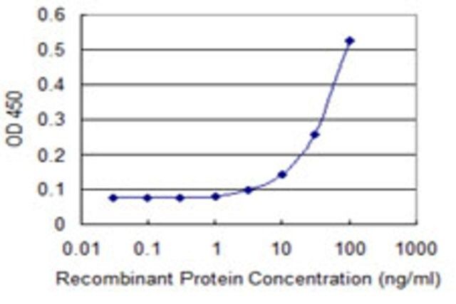 Monoclonal Anti-TBX21 antibody produced in mouse