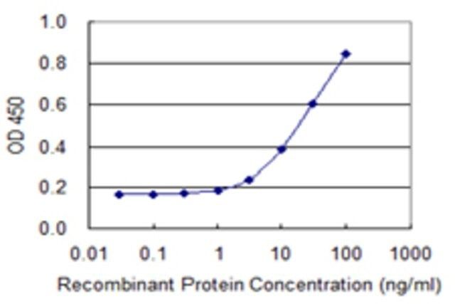 Monoclonal Anti-SNRPB2 antibody produced in mouse