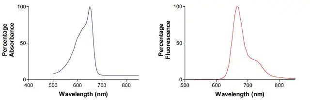 Monoclonal Anti-Pink1-Apc antibody produced in mouse