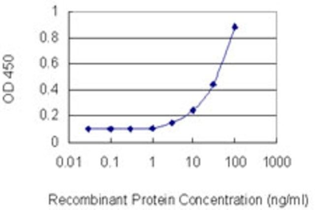 Monoclonal Anti-PIK3AP1 antibody produced in mouse