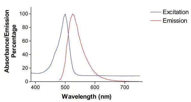 Monoclonal Anti-Pink1-Fitc antibody produced in mouse