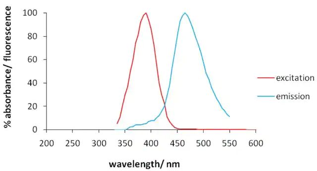 Monoclonal Anti-Pink1-Atto 390 antibody produced in mouse