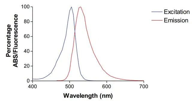 Monoclonal Anti-Pink1-Atto 488 antibody produced in mouse