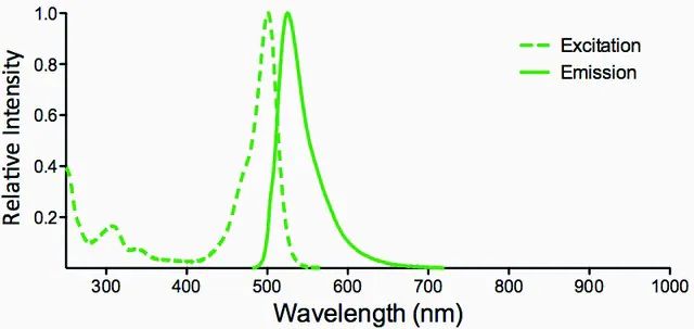 Monoclonal Anti-Nitrotryptophan-Atto 488 antibody produced in mouse