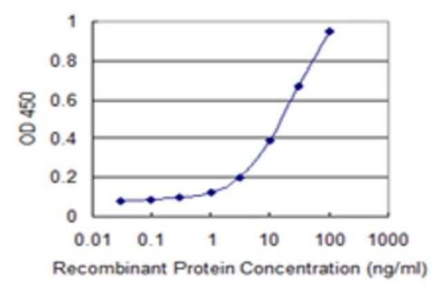 Monoclonal Anti-PANK4, (C-terminal) antibody produced in mouse