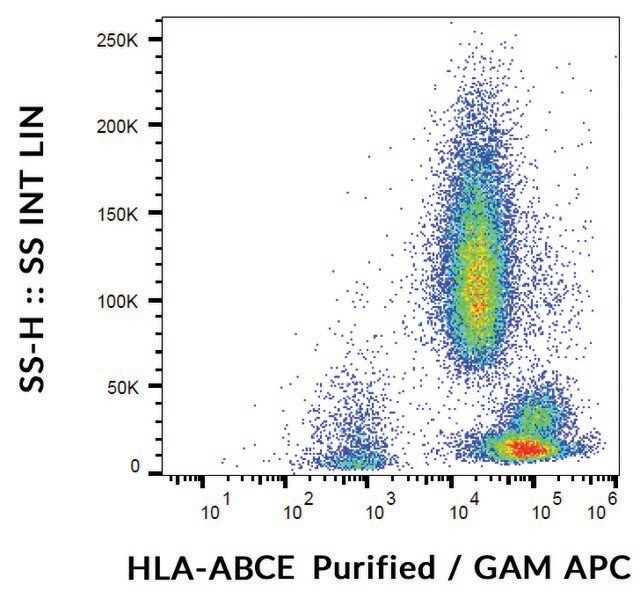 Monoclonal Anti-HLAABCE antibody produced in mouse