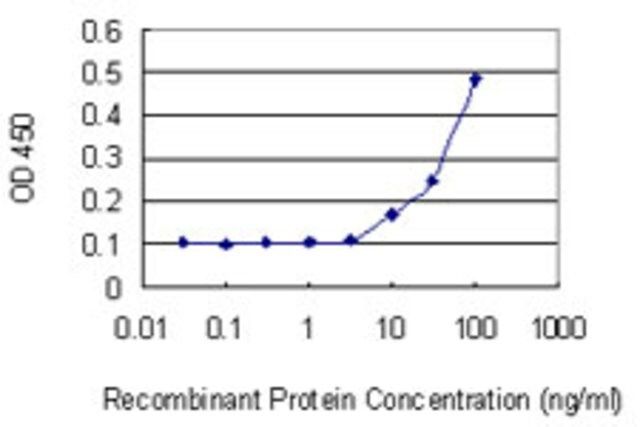 Monoclonal Anti-IPP antibody produced in mouse