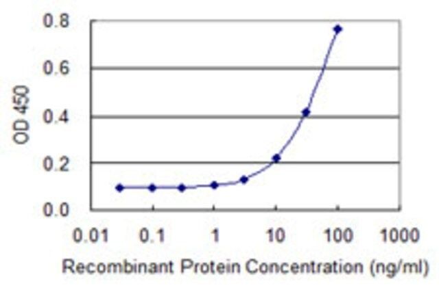 Monoclonal Anti-IQCH antibody produced in mouse