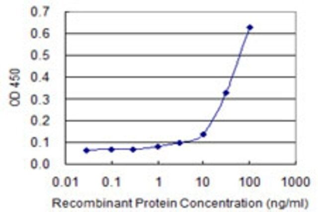 Monoclonal Anti-KCNK5 antibody produced in mouse