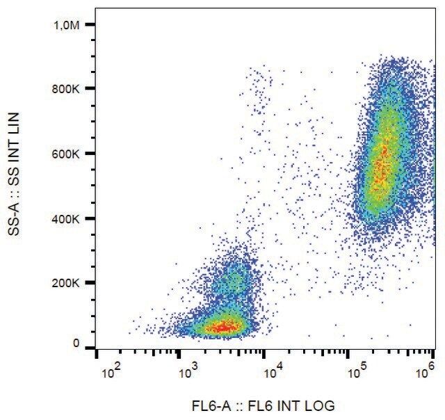 Monoclonal Anti-Lactoferrin antibody produced in mouse