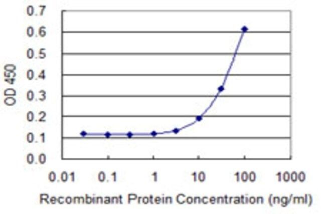 Monoclonal Anti-GRIA3 antibody produced in mouse