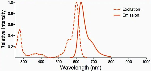 Monoclonal Anti-Dityrosine-Atto 594 antibody produced in mouse