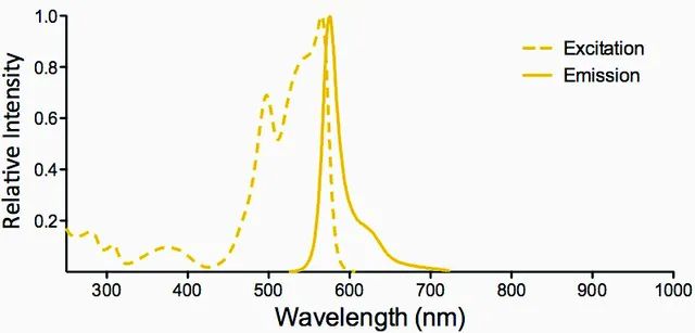 Monoclonal Anti-Dityrosine-R-Phycoerythrin antibody produced in mouse