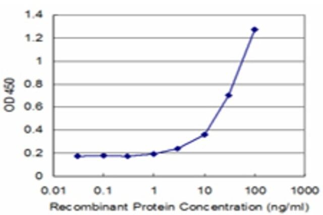 Monoclonal Anti-CHST4 antibody produced in mouse