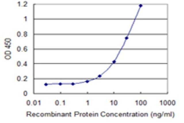 Monoclonal Anti-CLDN12 antibody produced in mouse