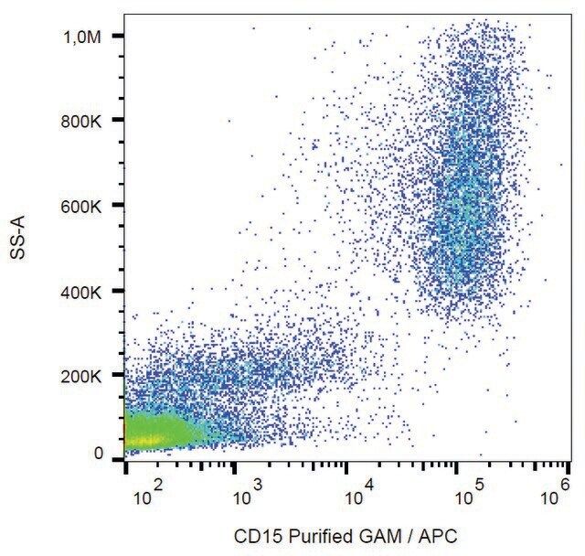 Monoclonal Anti-CD15 antibody produced in mouse