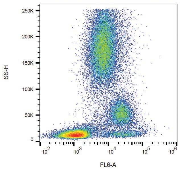 Monoclonal Anti-CD39 antibody produced in mouse