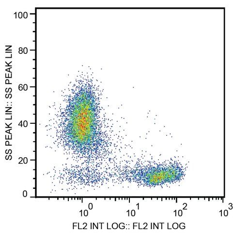 Monoclonal Anti-CD2 antibody produced in mouse