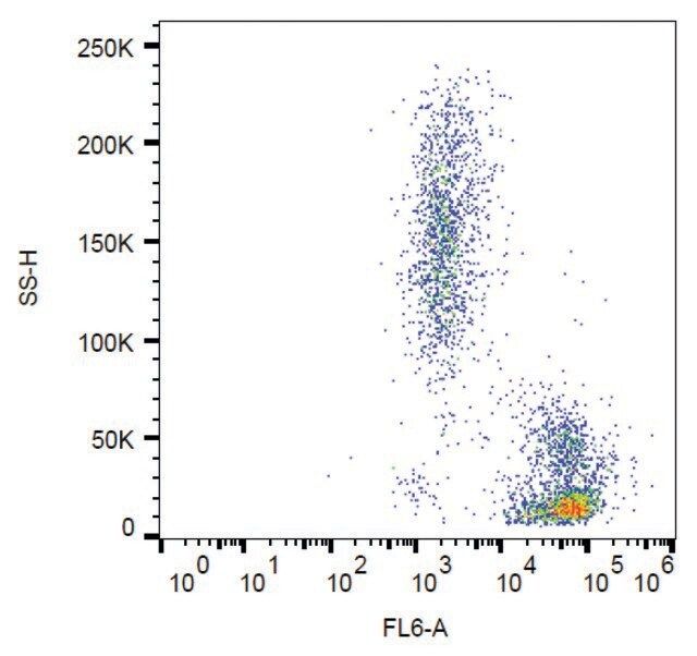 Monoclonal Anti-CD102 antibody produced in mouse